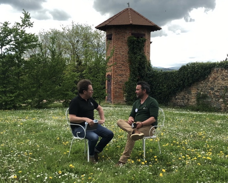  » Retour aux sources  » du Gamay Saint-Romain